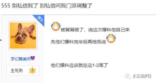 舞美师最新爆料,最新爆料背后的精彩故事  第3张
